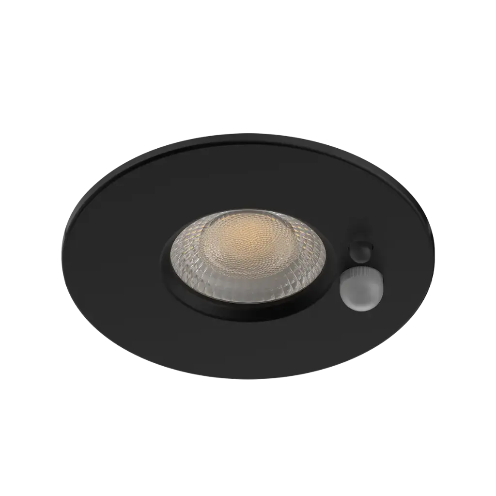 [6202024] MOVO