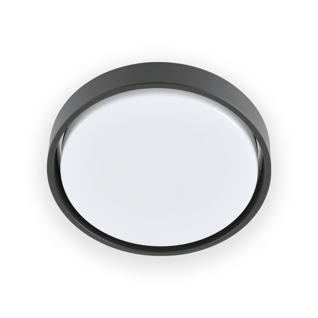 [6280310] CENTO (36W)