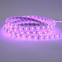 RUBAN 5050 5M 14.4W/M 24VDC 60LEDS/M RGB IP65