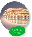 RUBAN DUAL 5050 5M 26W/M 24VDC 120LEDS BI-COL IP65
