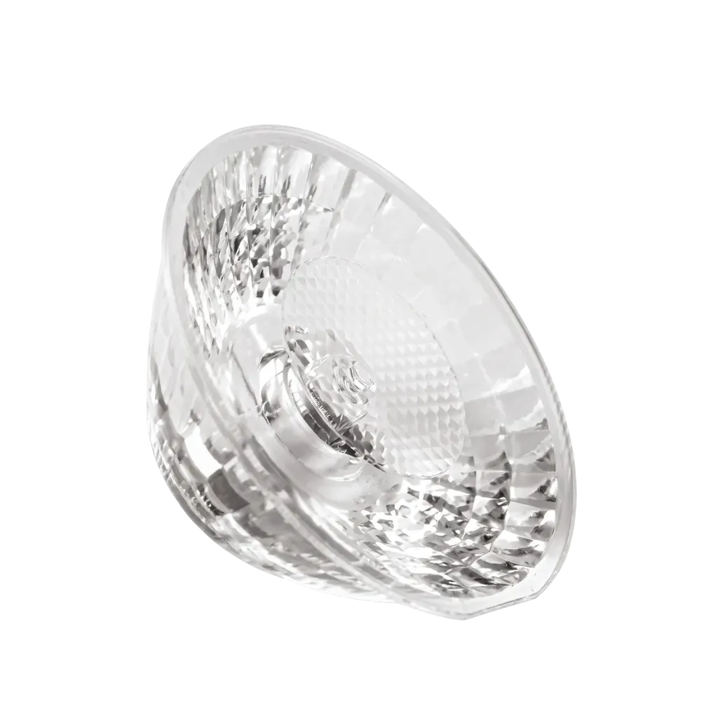 LENTILLE POUR FONDO
