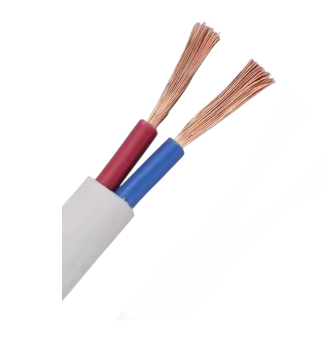CABLE IP
