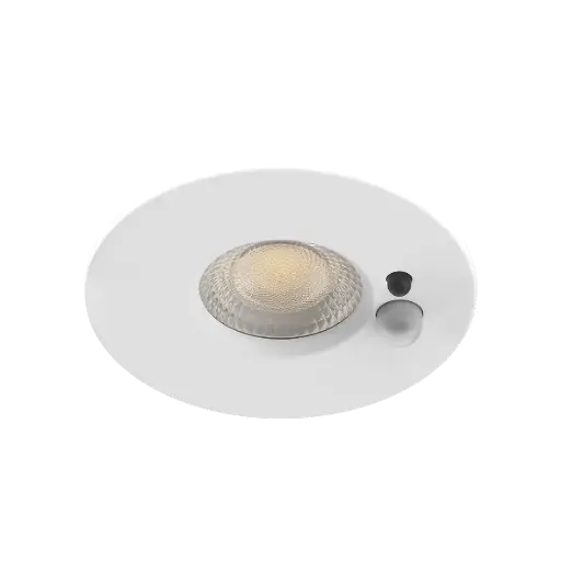 [6202024] MOVO