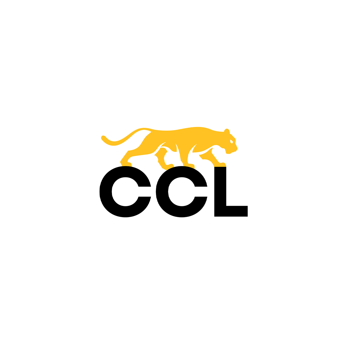 CCL PERPIGNAN SUD